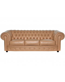 Трехместный диван "Делфина"