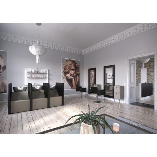 Парикмахерская мойка "Privacy Wash 3P Shiatsu"